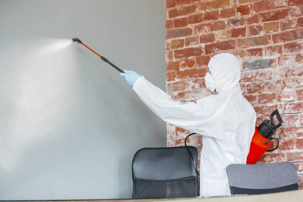 Best Post-Construction Mold Inspection  in Moreland Hills, OH